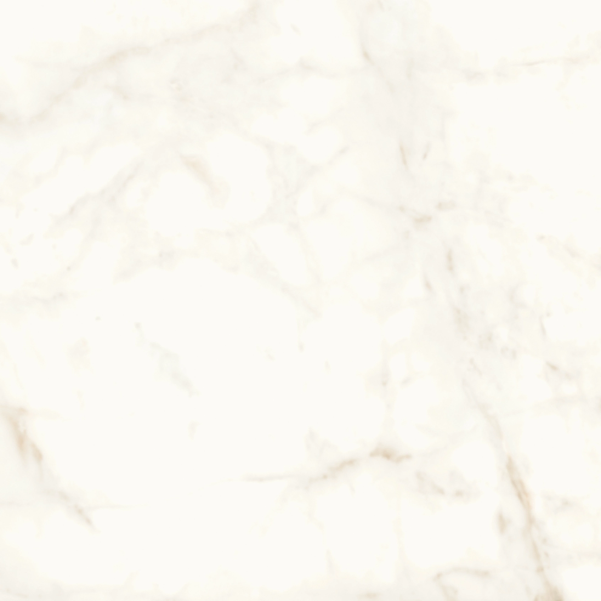 Atlas Concorde Marvel Calacatta Delicato 120X120 Matt  A4Q4
