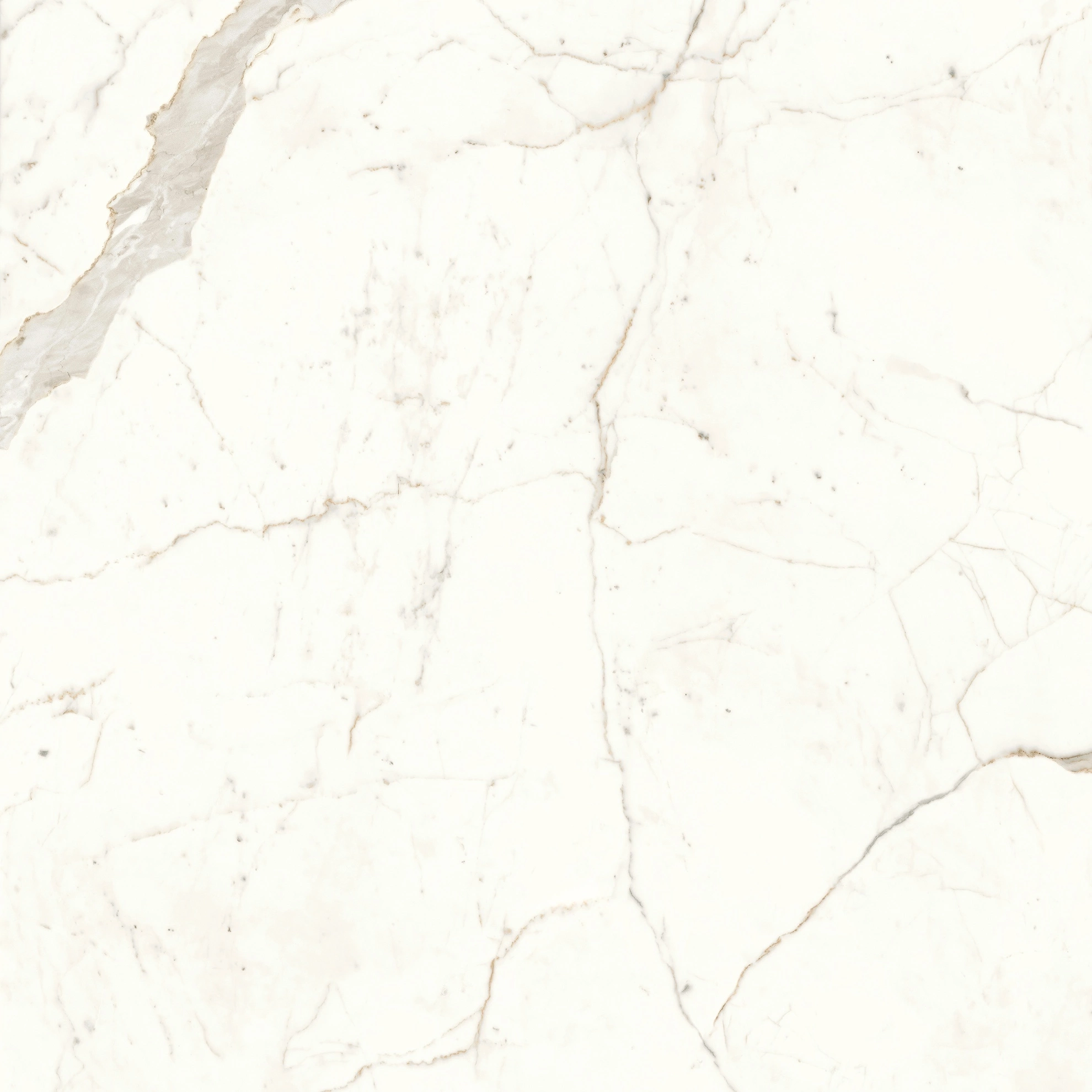 Atlas Concorde Marvel Calacatta Prestigio 120X120 Lappato  A4Q9