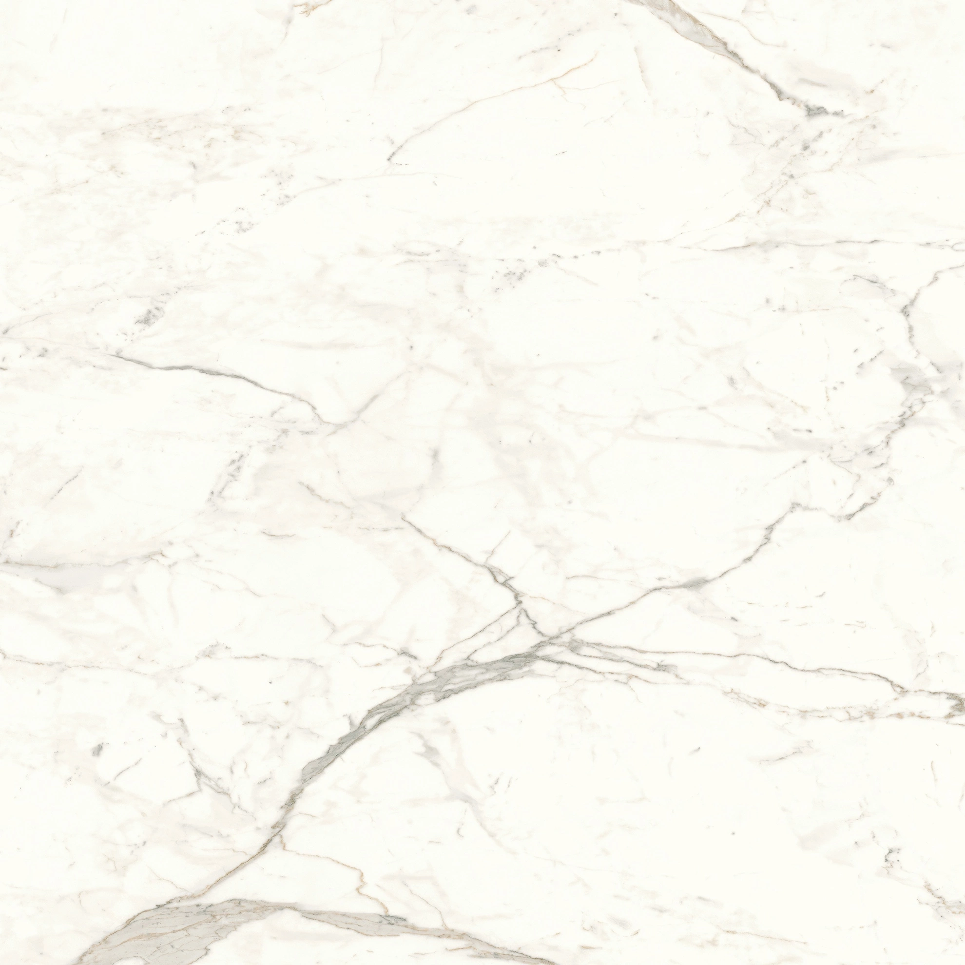 Atlas Concorde Marvel Calacatta Prestigio 120X120 Lappato  A4Q9