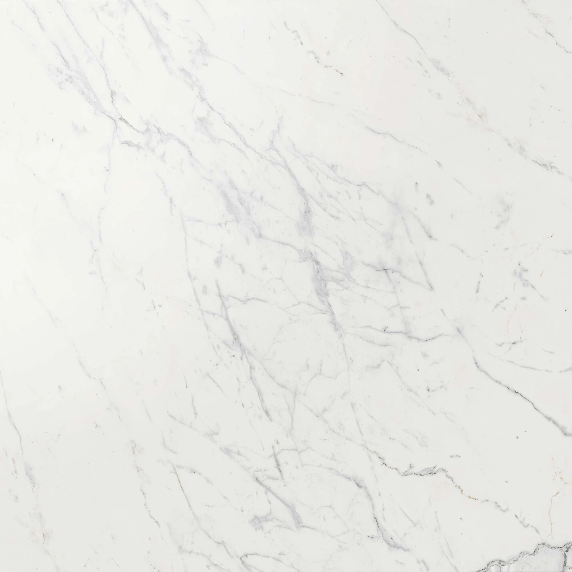 Atlas Concorde Marvel Calacatta Extra 120X120 Lappato  AY2R