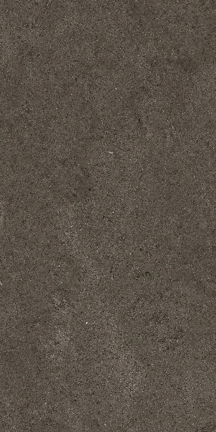 Florim Casa Dolce Casa Sensi By Thun Brown Dust Nat6Mm 60X120R  768624