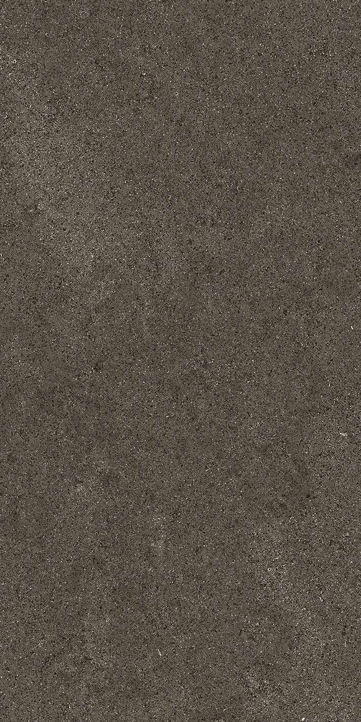 Florim Casa Dolce Casa Sensi By Thun Brown Dust Nat6Mm 60X120R  768624