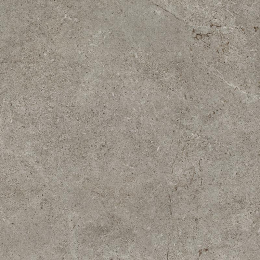 Cercom Archistone Archi Grey Ret       100X100 1081746