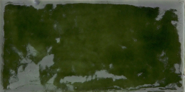 Tonalite Magma Erba 5,7x11,5 MAG05ER