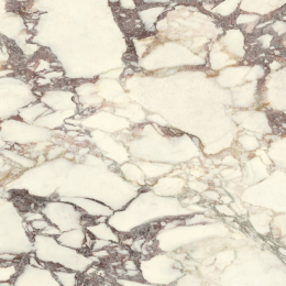 Iris Fmg Select Breccia Medicea Lucidato Sq. LU668551
