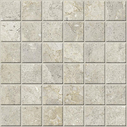 Cercom Everstone Mos.5X5 Evercream    30X30 1089753