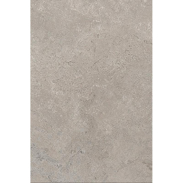Cercom Stone Vision St.Vision Ash Ret    60X90 1090684