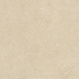 Lea Intense  Intense Beige  Grp Rt 4*60X60 ALGWIN1G