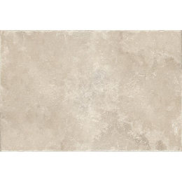 Fioranese Pietraviva Greige 40,8X61,4 00PV464