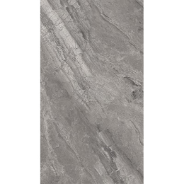 Cerdomus Supreme Silver  60x120 99869