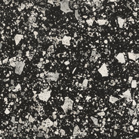 Iris Fmg Venice Villa Venice Graphite Levigato L20409