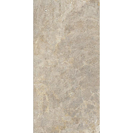Cercom Everstone Everbrown R11 Ret    30X60 1089344
