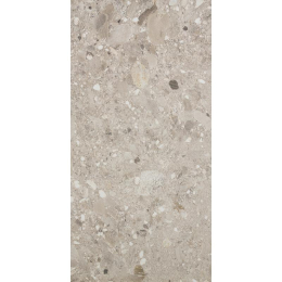 Cercom Ceppo Di Gres Ceppo Sabbia Ret(P)  30X60 1077667