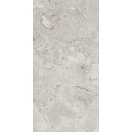 Cerdomus Karnis Silver  60x120 93523