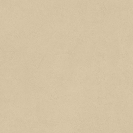 Atlas Concorde Boost Natural Pro Sand 60x60 AQ9W