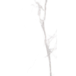 Cerdomus Omnia Statuario  30x60 88973