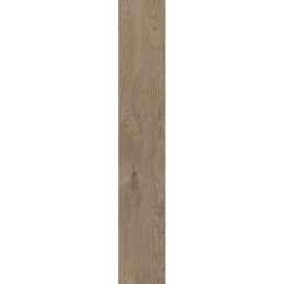 Cerdomus Zenith Fossil  20x120 82774