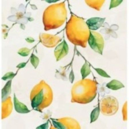 Mirage Papier Pap Capri           60X120X6 CBF9