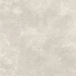 Refin Coquille Champagne Matt R 80X80 RO74