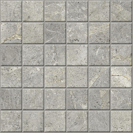 Cercom Everstone Mos.5X5 Evergreige   30X30 1089754