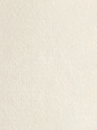 Leonardo Morgana 60x120 MRGN 12W RM