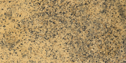 Iris Fmg Neo Granito Giallo Venezia Naturale Sq. P62640