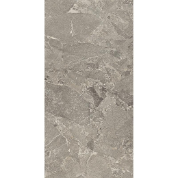 Cercom Cosmo Meteor Grey Ret      60X120 1086659