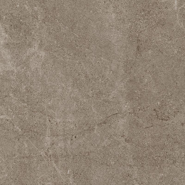 Cercom Archistone Archi Taupe 20 R11 Re100X100Sp 1081753
