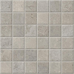 Cercom Stone Vision Mos.5X5 St.Vis.Ash   30X30 1091931
