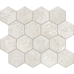 Cercom Everstone Mos.Esag.Everwhite   25X30 1089759