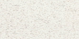 Refin Flake White Medium R 60X120 NH19