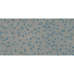 Bardelli Colorama Decor 4B - Flowers DE4B620
