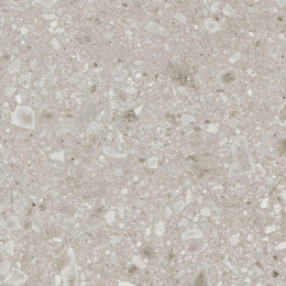 Ragno 600X600  Ceppo Beige Rt RCX9