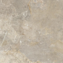 Cercom Everstone Everbrown R11 Ret    60X60 1089336