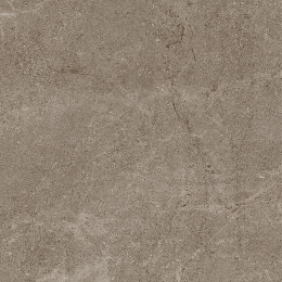 Cercom Archistone Archi Taupe Ret(P)   60X60 1081737