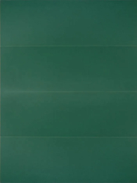 Ragno 300X900  Lucida For RCR8