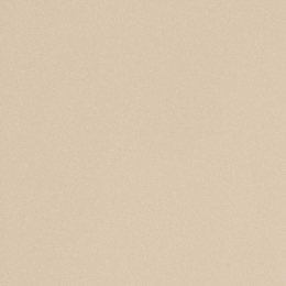 Leonardo Icon 60x60 ICON ALMOND 60