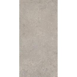 Cercom Stone Vision St.Vision Ash R11 Ret30X60 1090680
