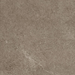 Cercom Archistone Archi Taupe Ret      100X100 1081749