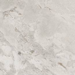 Cerdomus Karnis Silver  60x60 93530