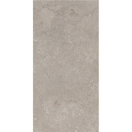 Cercom Stone Vision St.Vision Ash Ret    30X60 1090676