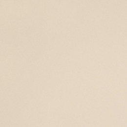 Leonardo Icon 60x60 ICON CREAM 60