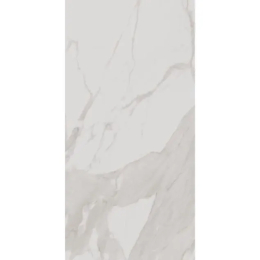 Cerdomus Alma Statuario Altissimo  60x120 92451