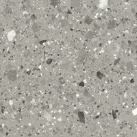Iris Fmg Venice Villa Venice Grey Levigato L20408