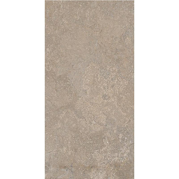Cercom Stone Vision St.Vision Mud R11 Ret30X60 1090683