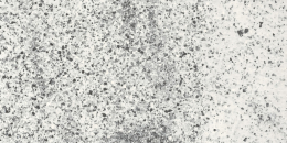 Iris Fmg Neo Granito Kristal Naturale Sq. P62644