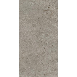 Cercom Archistone Archi Grey R11 Ret   30X60 1082618