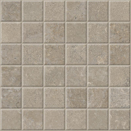 Cercom Stone Vision Mos.5X5 St.Vis.Mud   30X30 1091934