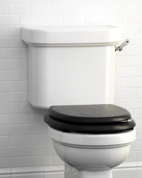 WC cistern Devon&Devon IBCMBLUES
