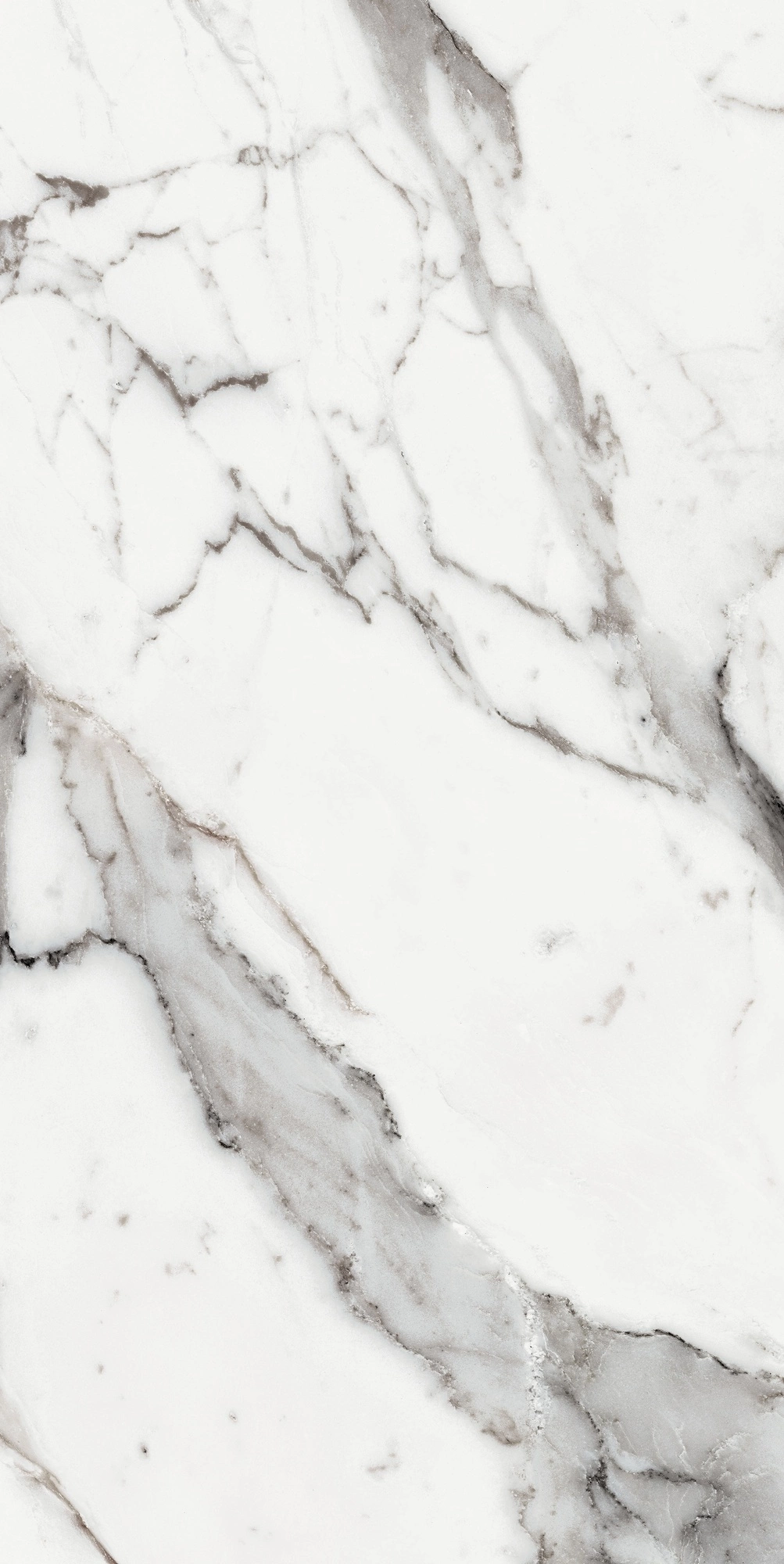 Florim Rex Origines De Rex Argent Glossy 60X120 Ret 769859